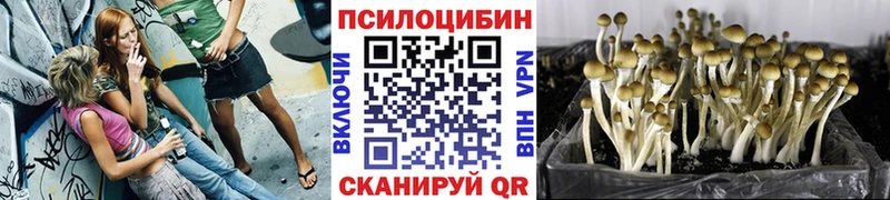 Купить закладки  Белозерск  Псилоцибиновые грибы MAGIC MUSHROOMS 